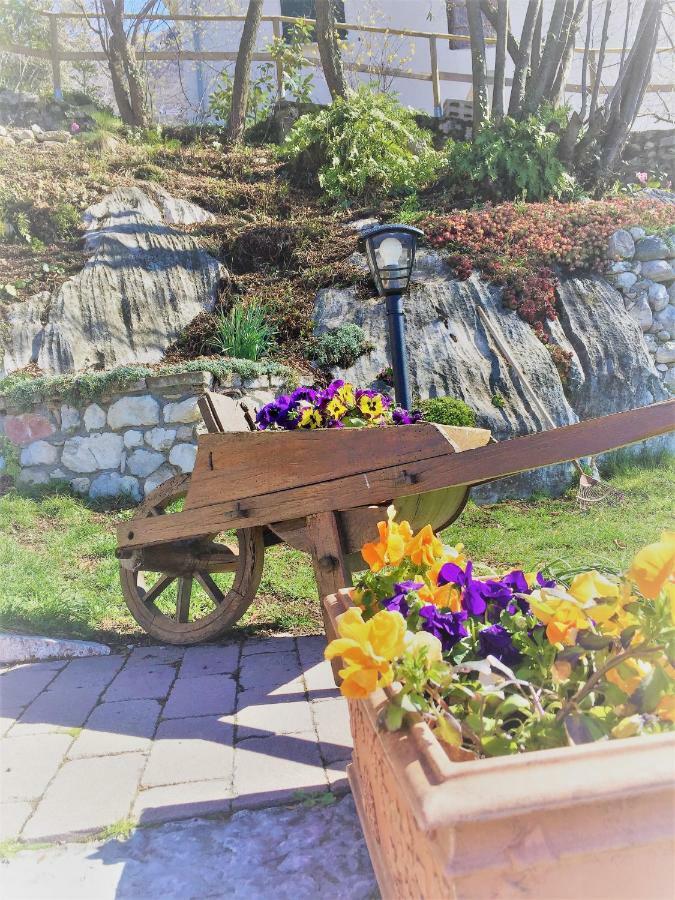 La Casa Nel Bosco Apartment มัลเชซิเน ภายนอก รูปภาพ